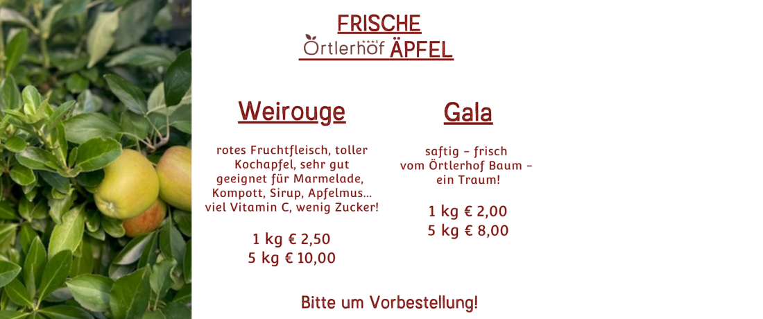 Die Apfelernte beginnt