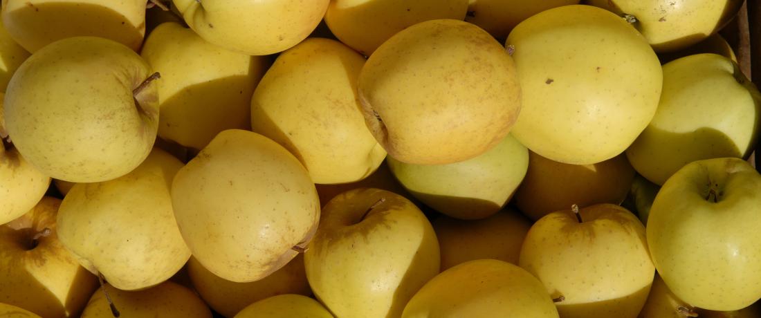 Äpfel