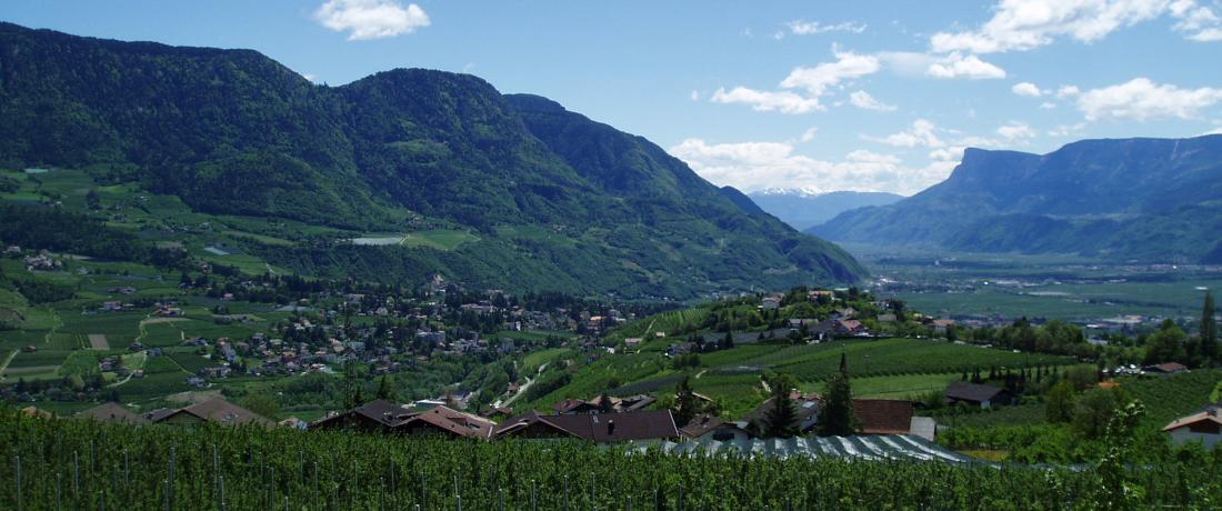 Aussicht Balkon