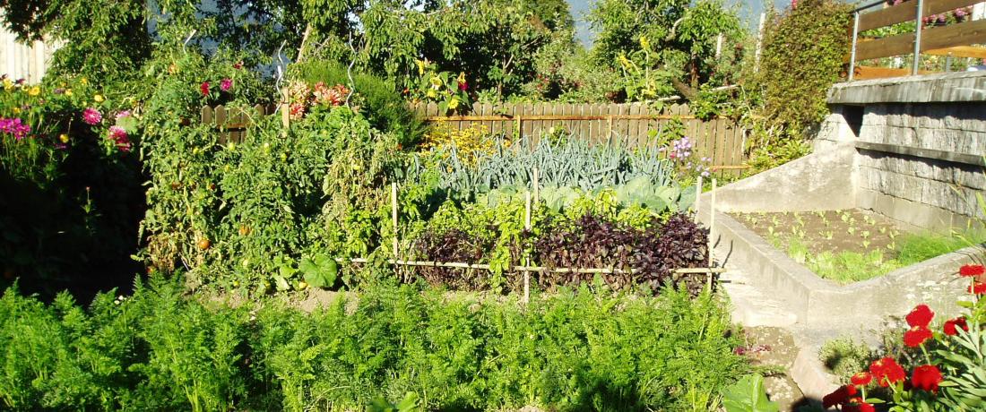 Garten