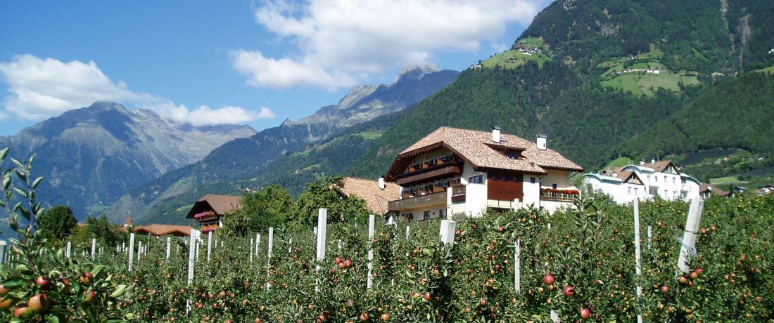 Hausansicht von Süden nach Norden