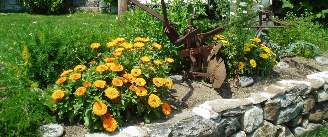 Kräutergarten