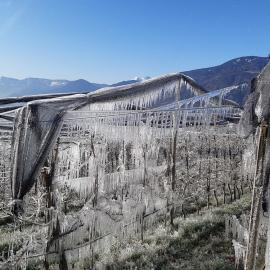 Azienda agricola