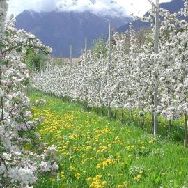 Azienda agricola