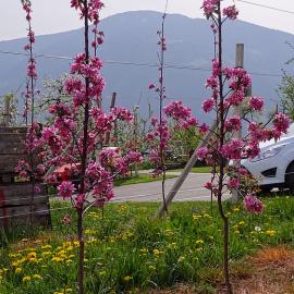 Azienda agricola