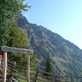 Azienda agricola