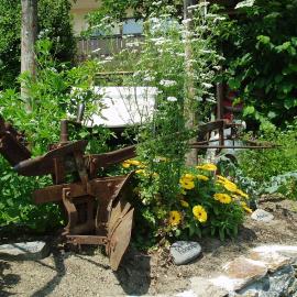 Garten - Schwimmbad - Garten - Schwimmbad - Bilder - Service