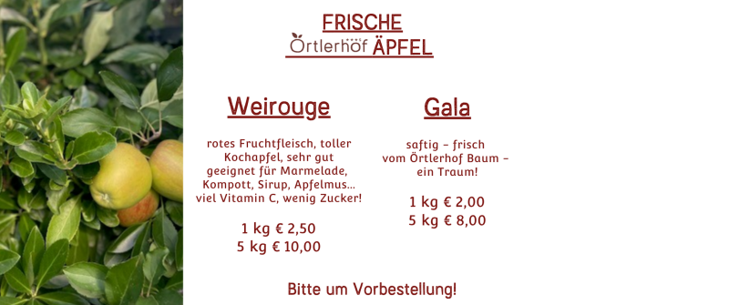 Die Apfelernte beginnt