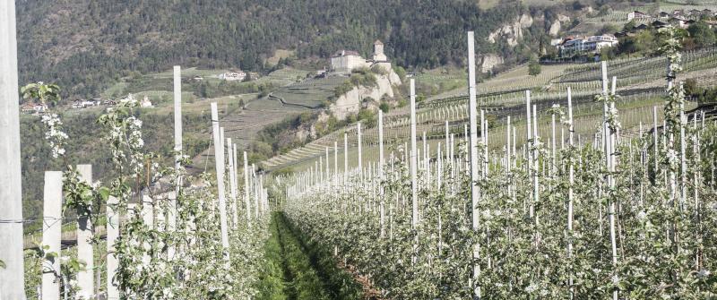 Neue Saison!