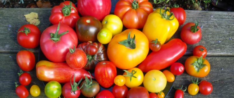 Sommer Rezept!