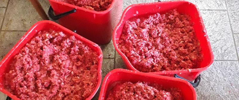 Weirouge Apfelsaft - ein Hit!