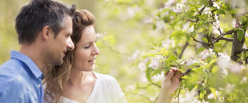 Springtime Awakening!