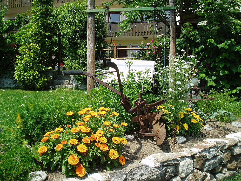Garten - Schwimmbad - Garten - Schwimmbad - Bilder ...
