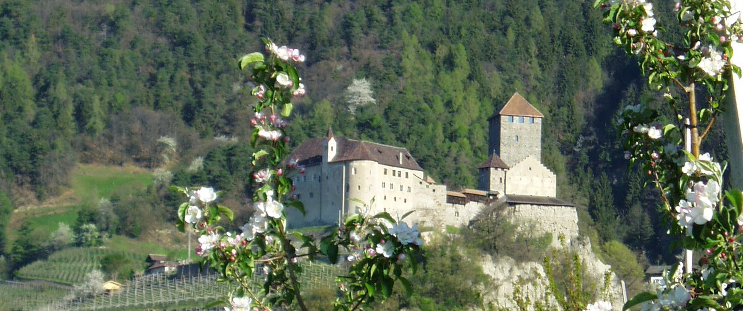 Dorf Tirol - Dorf Tirol – alpin und mediterran - Dorf Tirol & Meran